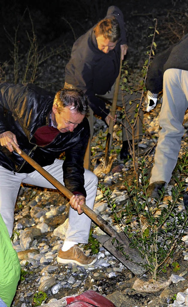 Gartenbau zum Abschluss: Die Kommissionsmitglieder pflanzten Strucher.   | Foto: zvg