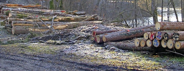 Holz: ein wichtiger Wirtschaftsfaktor in Wutach.  | Foto: Archivbild: Martin Wunderle