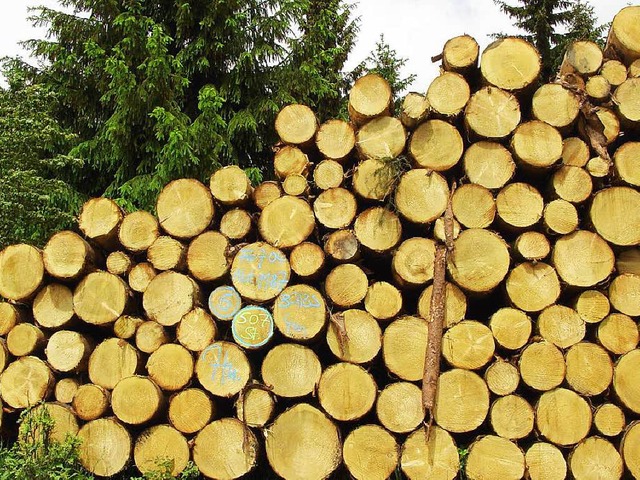 Das Modell der Wehrer Waldbewirtschaftung weckt Interesse sogar in bersee.  | Foto: dpa