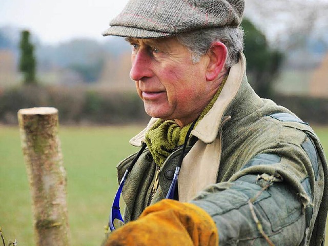 Setzt sich fr nachhaltige Landwirtschaft ein: Prinz Charles  | Foto: dpa