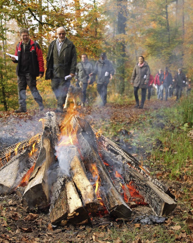 Waldbegehung: Brennholz bringt wohlige Wrme.  | Foto: Thilo Bergmann