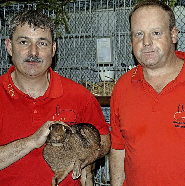 Daniel Hesse mit einen Hasen-Kaninchen...em Vereins-Vorsitzenden Andreas  Asal   | Foto: georg Diehl