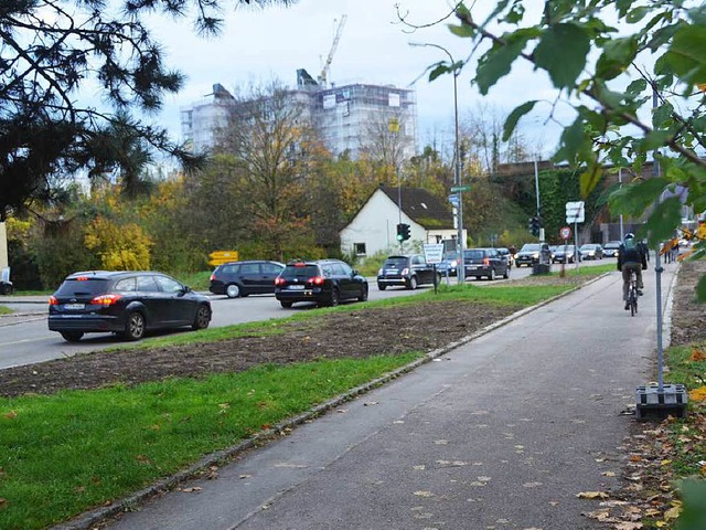 Es wird noch eine Weile dauern, bis der Kreisel an der Dammstae fertig ist.   | Foto: Sabine Ehrentreich