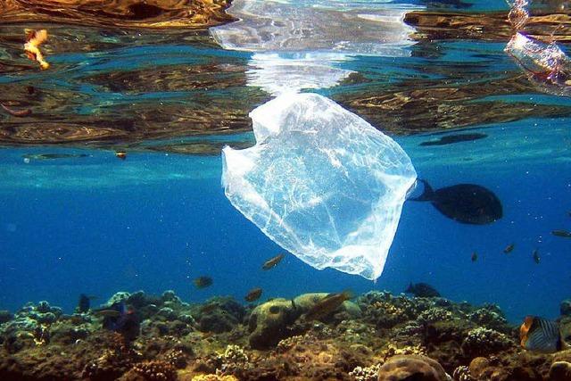EU einigt sich auf ein Limit für Plastiktüten
