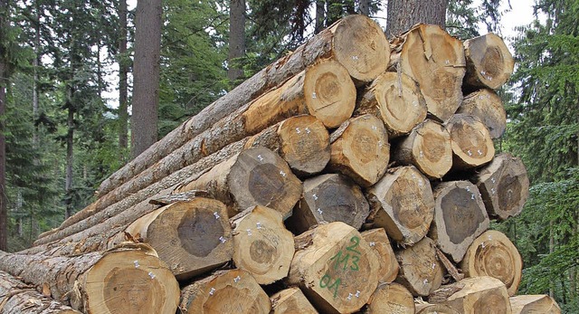 Beste  Holzqualitt  und ein Hiebsatz ... fr  hohe Gewinne im Bugginger Wald.   | Foto: Umiger