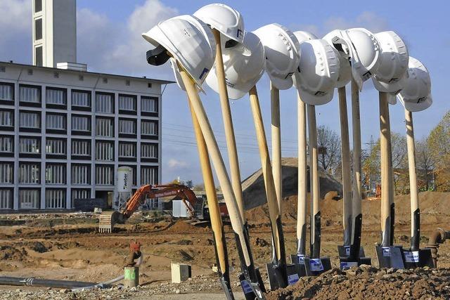 Kronenwiese wird zur Grobaustelle