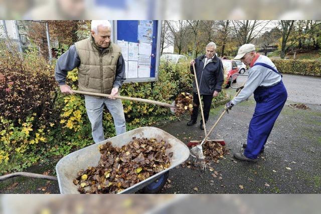 Wenn rstige Rentner richtig reinigen