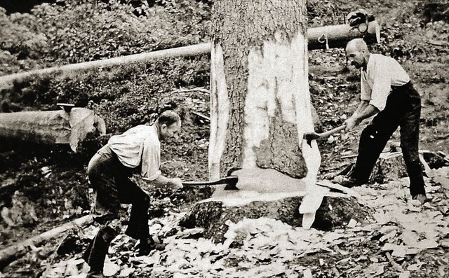 Einblicke in die harte Arbeit der Holz... Geschichte in  Todtmoos.               | Foto: Repro: Hans-Dieter Folles