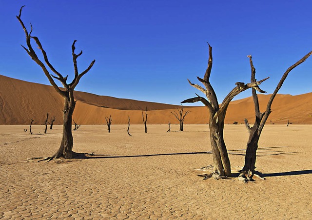 NAMIBIA  endlose Weite  -  atemberaube...ie entlegensten Gegenden vorgedrungen.  | Foto: Wolfgang Bauer