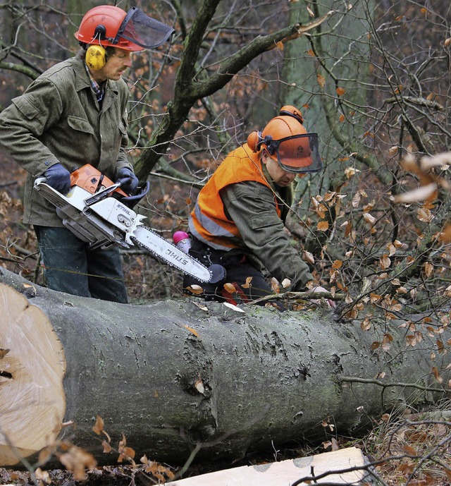 Forstarbeiter im Einsatz: Im Weisweile... fallen 2015 vor allem kranke Eschen.   | Foto: dpa