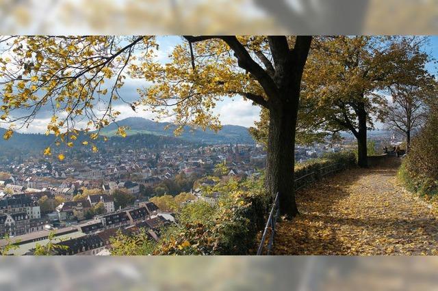 Der Freiburger Schlossberg im Herbst