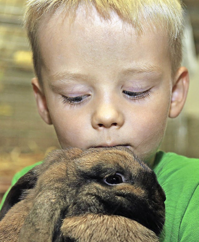 Der erst vierjhrige Kaninchenzchter Fabio Hedrich mit seinem Zwerg-Widder.    | Foto: S. Decoux-Kone
