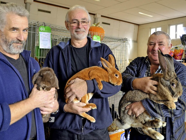 Peter Ebner mit einem Widderzwerg, Wil...t einem Deutschen Riesen (von links).   | Foto: Umiger