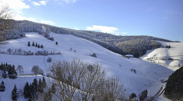 Die Gruppe 50 plus vom Skiclub Mnster...k auf die Pisten des Heidsteinliftes.   | Foto: Gabriele Hennicke