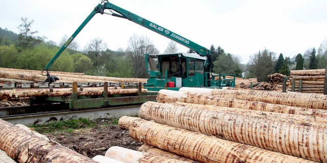 Holz aus dem Staatswald wird  von dem ...twldern bei der Vermarktung getrennt.  | Foto: dpa