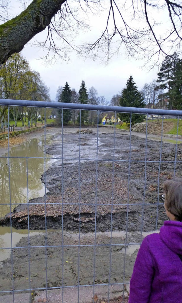 Blickfang fr Passanten: Die Baustelle... bevor er fortgeschafft werdenn kann.   | Foto: Peter Stellmach