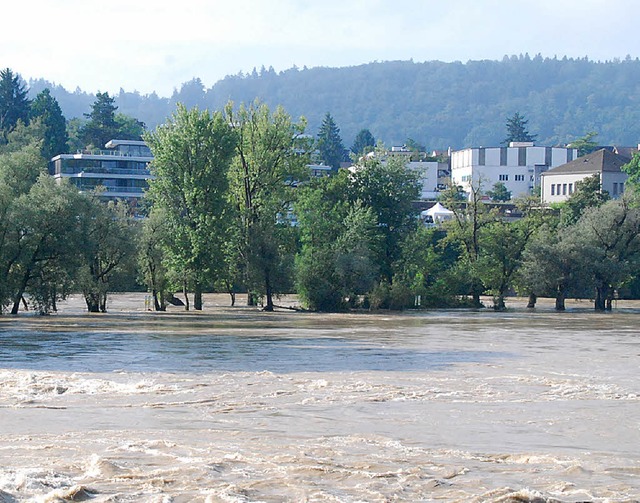 Hochwasser bei Rheinfelden den Sommer   | Foto: rs