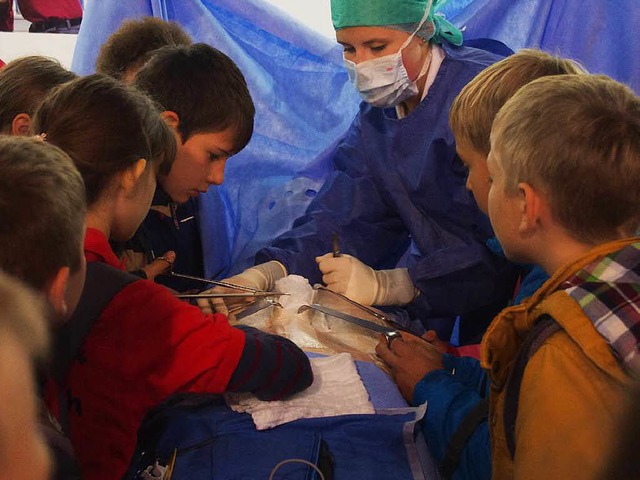 Die Kinder beim &#8222;Operieren&#8220;   | Foto: Sonja Zellmann