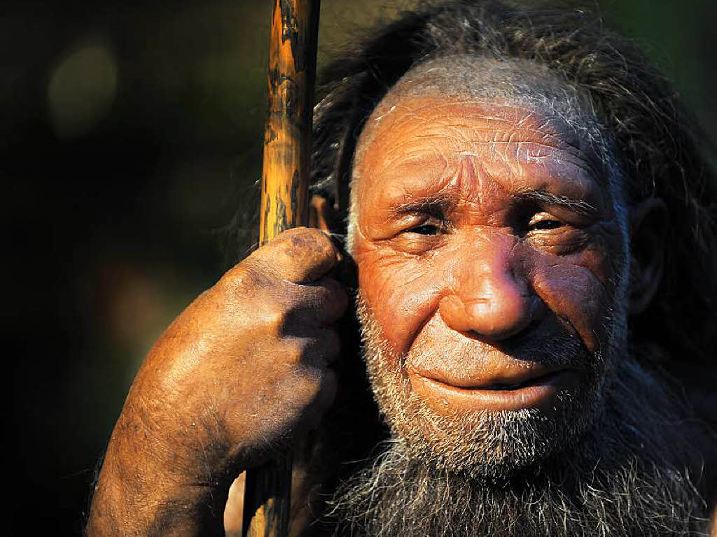 Sogenannte PaleoDiäten boomen warum eigentlich? Kolumnen (Sonstige