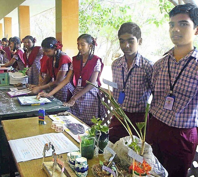&#8222;Science Day&#8220; auf indisch:...wissenschaftliche Exponate aufgebaut.   | Foto: Verein