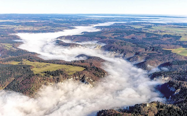 Mit Nebel verhangen schngelt sich die junge Donau durch die Landschaft.  | Foto: Hans-Juergen Goetz