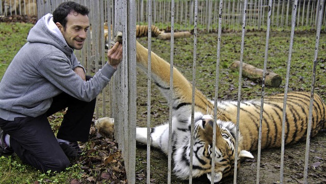 Christian Walliser scheut sich nicht, seinen Tigern die Hand zu geben.   | Foto: martin pfefferle