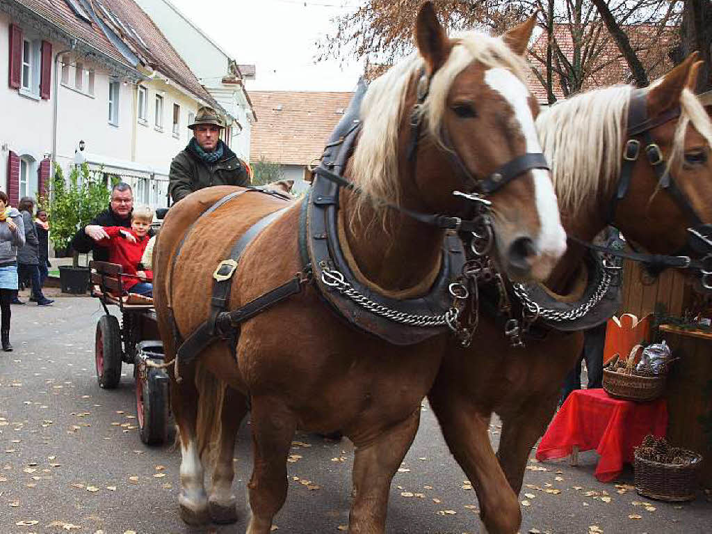 Kenzingen: Die Kutsche mit Brgermeister, Nikolaus und Knecht Ruprecht kommt.