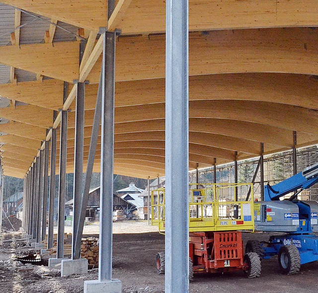 Die neue Holzlagerhalle der Glashofsg...Rahmen einer kleinen Feier am Freitag.  | Foto: Sebastian Barthmes/Christiane Sahli