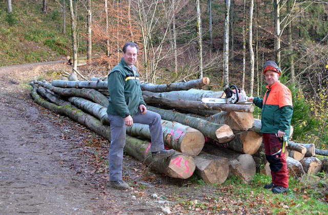 Am neuen Maschinenweg oberhalb des Eib...s) mit Waldarbeiter Martin Schonhard.   | Foto: Bayer