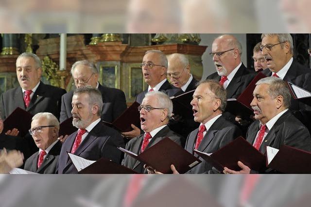 Die typischen Silbermann-Lufe brausen durch die Klosterkirche