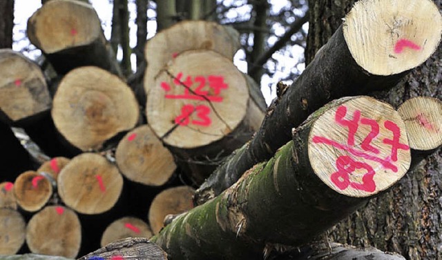 26000 Euro Gewinn will die Gemeinde He...ed im kommenden Jahr mit Holz  machen.  | Foto: thomas kunz