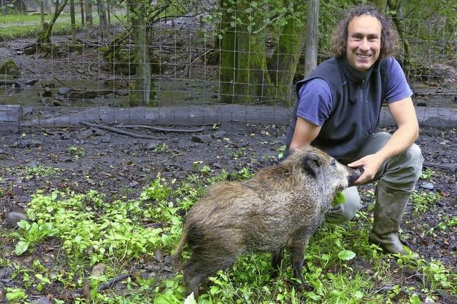 Die Zahlen aus dem Stadtwald bleiben tiefrot