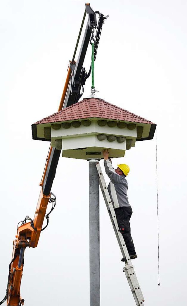 Maarbeit war gestern bei der Installa...ben dem Stadtteil Rieselfeld gefragt.   | Foto: Ingo Schneider