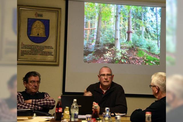 Waldfriedhof Karsau – der Ort, um letzte Ruhe in der Natur zu finden