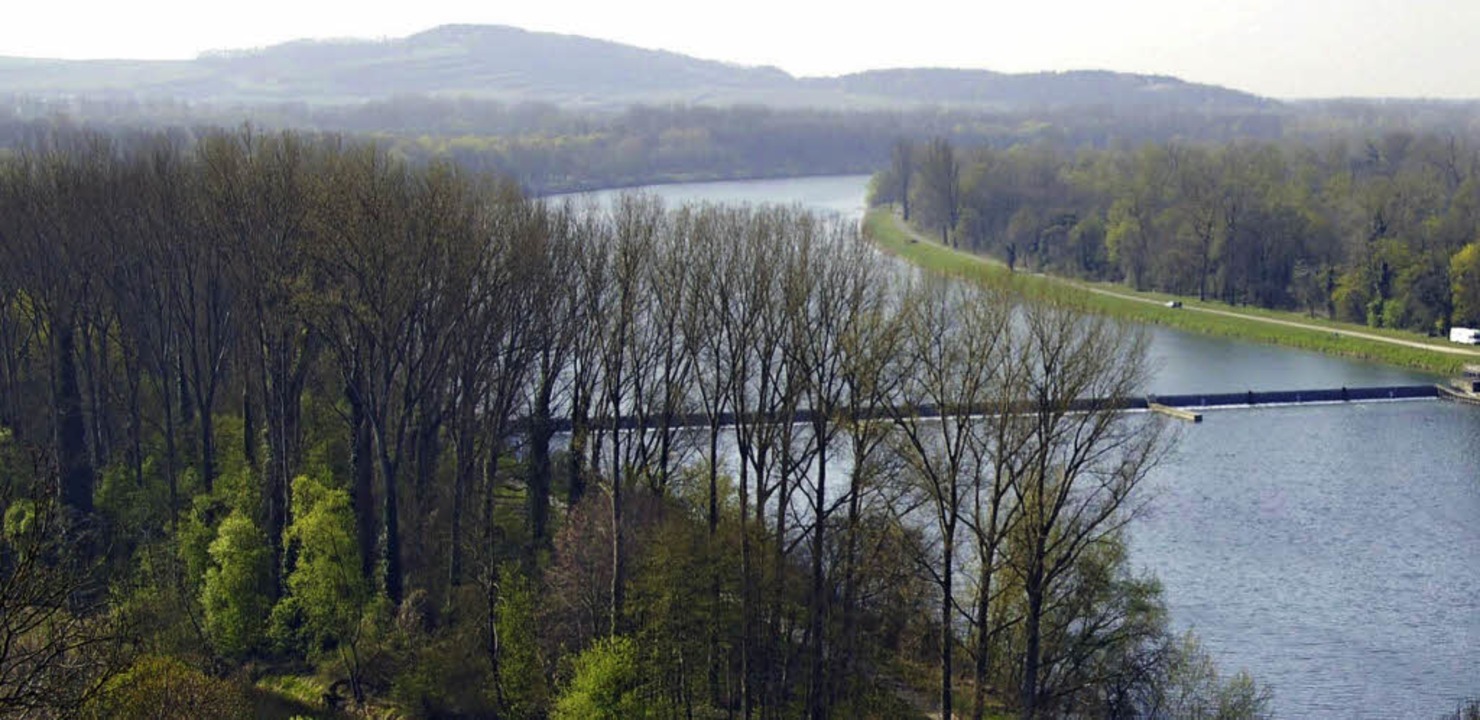 Die franzsischen Nachbarn entlang des... Breisach-Burkheim eingestaut werden.   | Foto: Archiv:Hans-Jrgen Trul