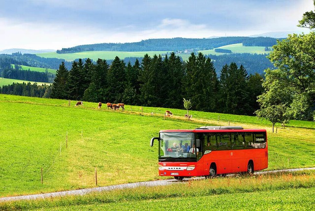 Ein Sdbadenbus im Schwarzwald   | Foto: BZ