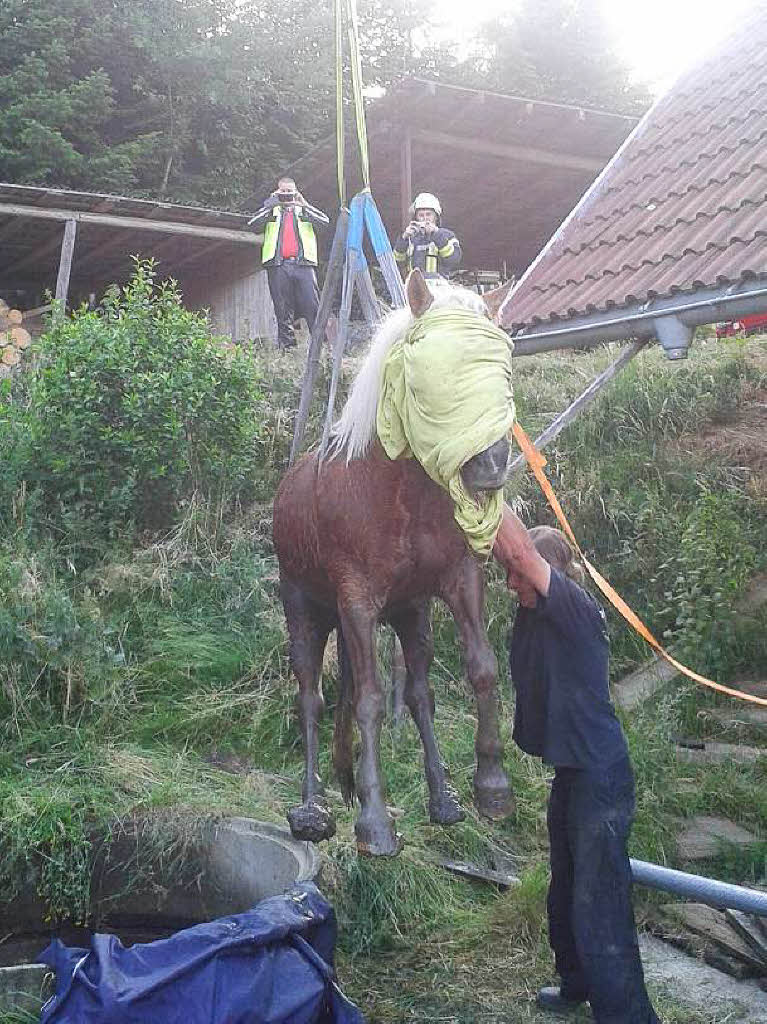 Gelungene Rettungsaktion der Feuerwehr : Mit Tuch ber den Augen lie sich das Pferd ganz ruhig aus dem Brunnenschacht hieven.
