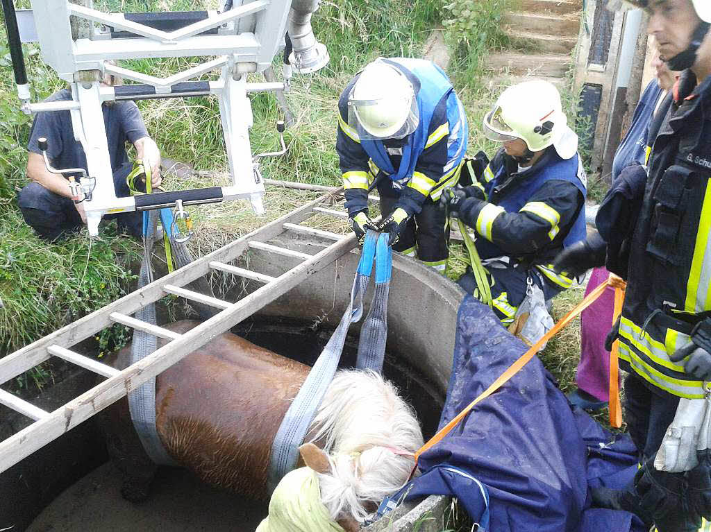 In einen Brunnenschacht gestrzt war ein Pferd in Biederbach. Die Feuerwehr rettete das Tier unversehrt.
