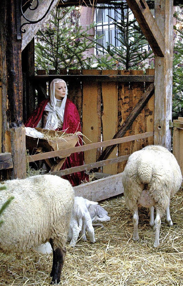 Eine Attraktion auf dem  Weihnachtsmarkt: Krippe mit lebenden Tieren.  | Foto: sandra Decoux-Kone