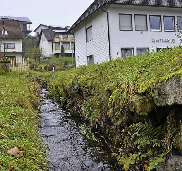 Der Krebsbach in Rippolingen  | Foto: Susanne Ehmann