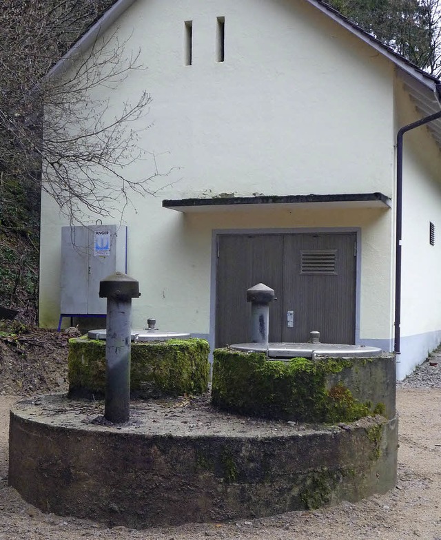 Von hier stammt das Wasser fr Sulzburg: Die Bohrung I liegt beim Waldhotel.   | Foto: stadt sulzburg