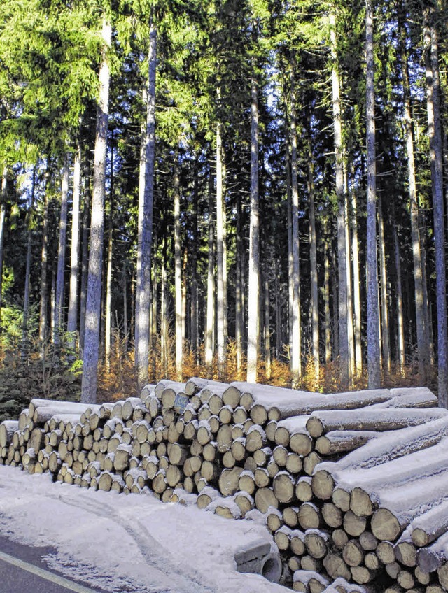Holzverkufe bringen wieder gute Einnahmen.   | Foto: Dagobert Maier