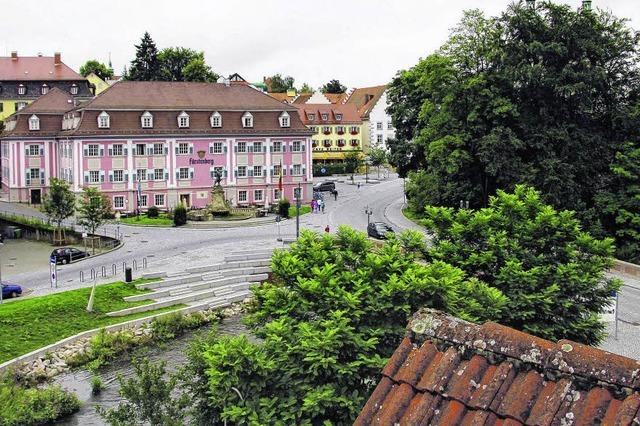 Pflaster-Kritiker beien auf Stein