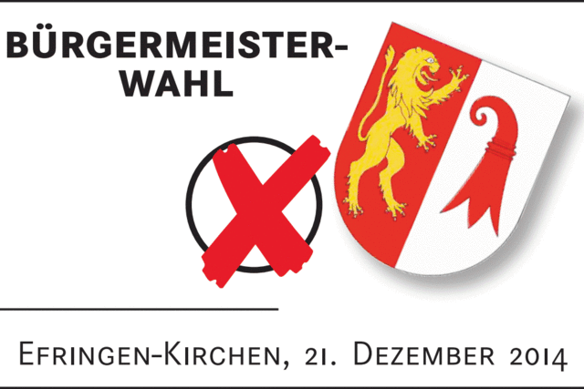 WAHLKAMPFTERMIENE