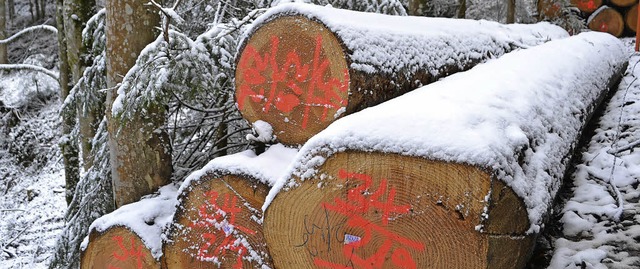 Der Holzverkauf soll  der Gemeinde nc...Jahr einen schnen Gewinn bescheren.    | Foto: berger