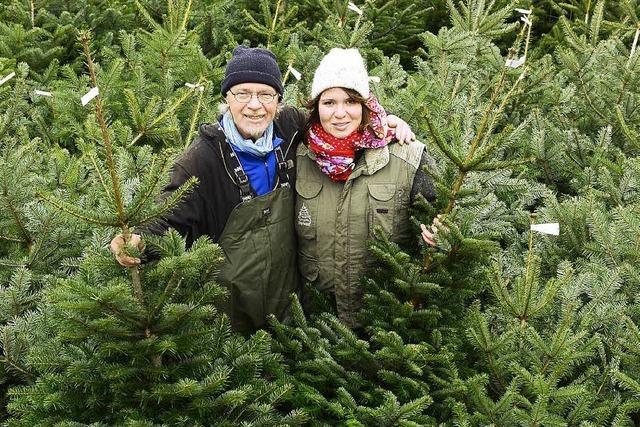 Weihnachtsbaumverkauf luft – Groe Geschfte rufen Kampfpreise auf