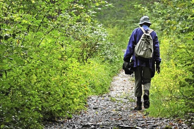 Husern feilt am geplanten Albsteig