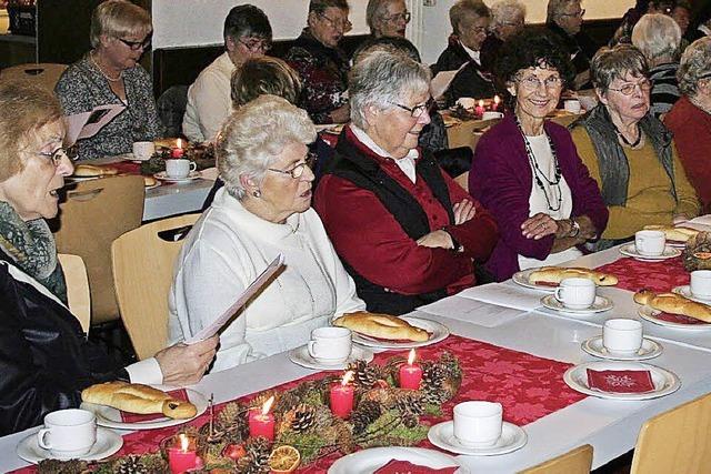 Auf der Suche nach Obdach