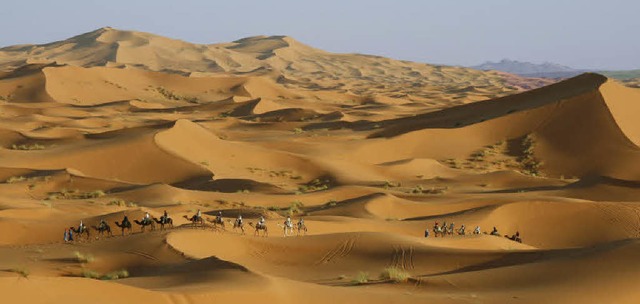 Eine Karawane und sonst nur Sand &#8211; das ist die Sahara.  | Foto: Wolfgang Grabherr