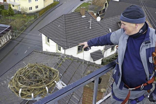 Nester gereinigt und Neues errichtet